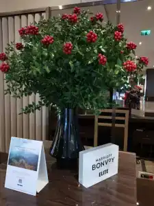 Renaissance Polat Istanbul - 20