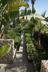 Lango Design & Spa, Adults Only - 13