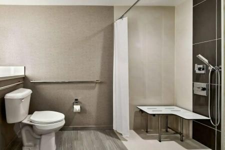 Ventura Beach Marriott - 96