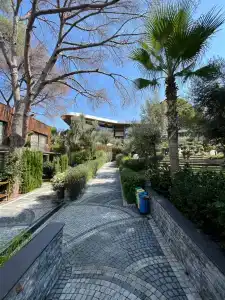 Unique Life Style - 34