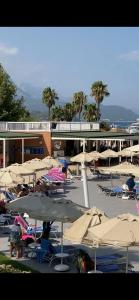 AQI Hydros Club - 33