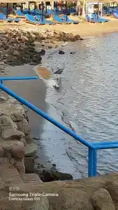Lido Sharm Naama Bay - 38