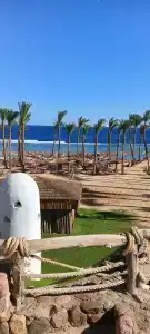 Nubian Island, Families and Couples only - 35