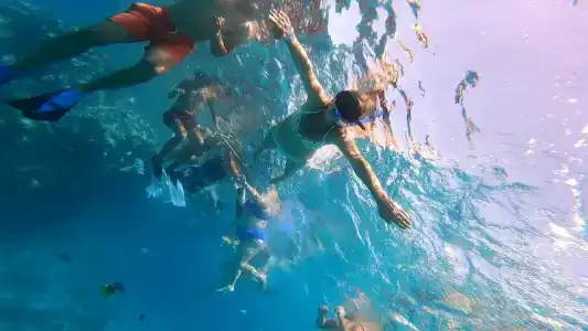 Paradise Abu Soma Resort - 50