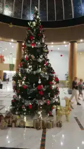 Hurghada Long Beach Resort - 49