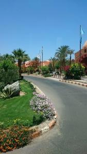 Jaz Makadi Saraya Palms - 96