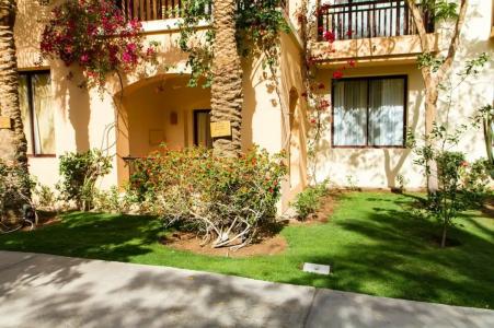 Jaz Makadi Saraya Palms - 14