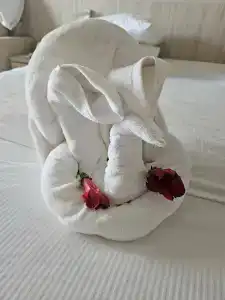 Amarina Abu Soma Resort & Aquapark - 57