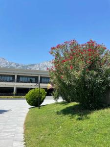 Kimeros Park Holiday Village - Ultra All Inc. Kids Concept - 85