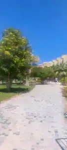 Three Corners Sunny Beach Resort - 26