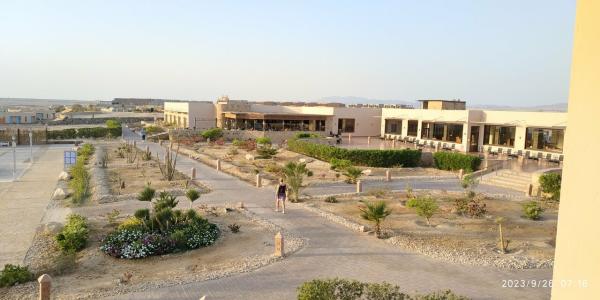 Viva Blue Resort and Diving Sharm El Naga (Adults Only) - 76