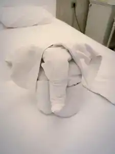 Kleopatra Atlas - Adults Only - 66