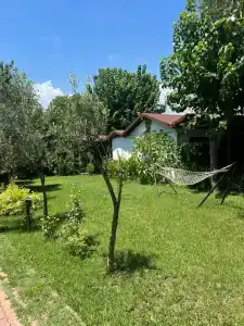 Caretta Caretta Pension - 34