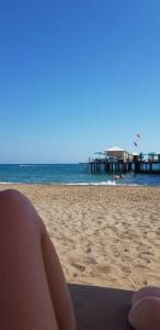 Kaya Palazzo Golf Resort - 48