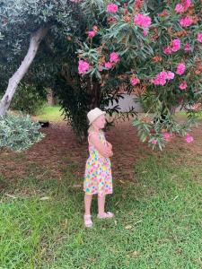 Kustur Club Holiday Village - All Inclusive - 66