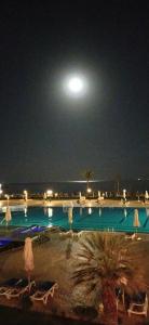 Old Palace Resort Sahl Hasheesh - 59
