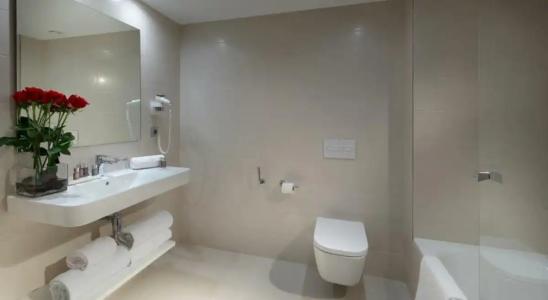 Barcelo Bilbao Nervion - 76