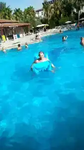 Sunlight Garden - 18