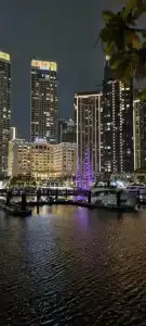 Vida Creek Harbour - 98