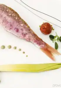 Sina Bernini Bristol, Autograph Collection - 93