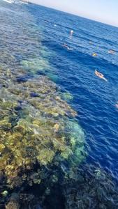 Rixos Sharm El Sheikh - Ultra All Inclusive Adults Only 18 Plus - 9