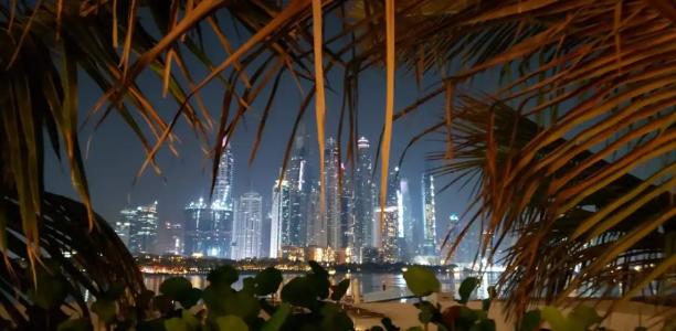 Adagio Premium The Palm - 81