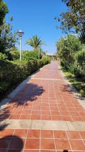 Venosa Beach Resort & Spa - All Inclusive - 60