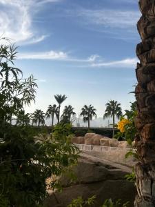 Sentido Reef Oasis Senses Aqua Park Resort - 81