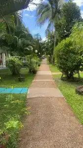 Patong Palace - SHA Extra Plus - 99