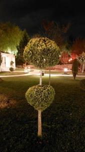 Suhan Cappadocia & Spa - 21