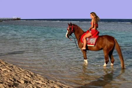 Sentido Akassia Beach - 20