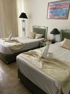 Pickalbatros Royal Grand Sharm - Adults Friendly 16 Years Plus - 78