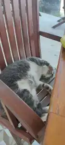 Begonville Beach - Adult Only - 39