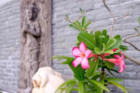 Phaithong Sotel Resort - SHA PLUS - 26