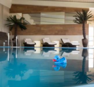 Radisson Blu Cottbus - 16