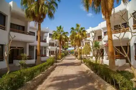 Marlin Inn Azur Resort - 64