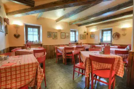 La Grange - Animal Chic - 14