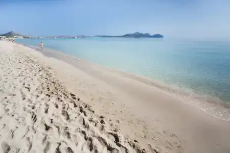 Js Alcudi-Mar - 2