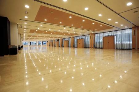 Gran Palas - Spa incluido - 47