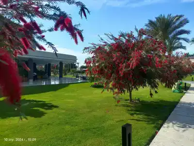 Rixos Premium Magawish Suites and Villas- Ultra All-Inclusive - 56