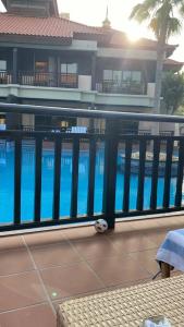 Anantara The Palm Dubai Resort - 25