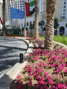 Le Royal Méridien Beach Resort & Spa - 64