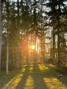 Marjan Island Resort & Spa Managed By Accor - 95