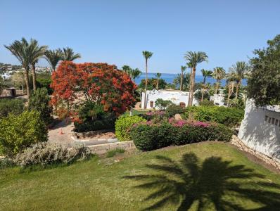 Domina Coral Bay Resort, Diving , Spa & Casino - 38