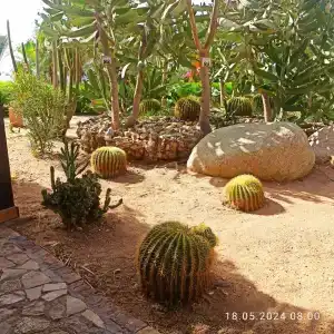 Tamra Beach Resort - 37