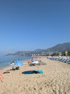 Cleopatra King Apart - 7