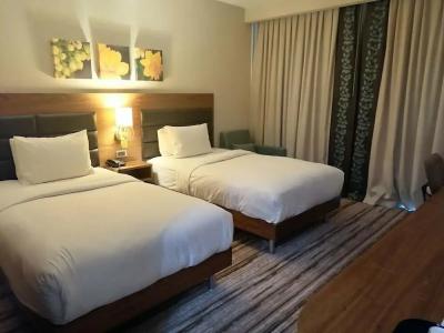 Hilton Garden Inn Erzincan - 39