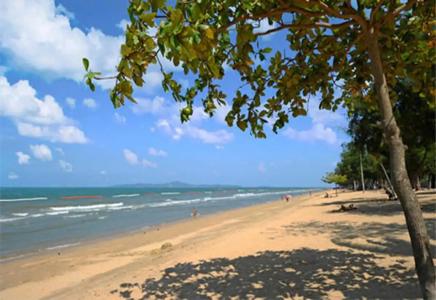 Rabbit Resort Pattaya - 11