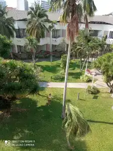 Tropicana Pattaya - SHA Extra Plus - 39