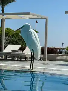 Steigenberger Alcazar - 20